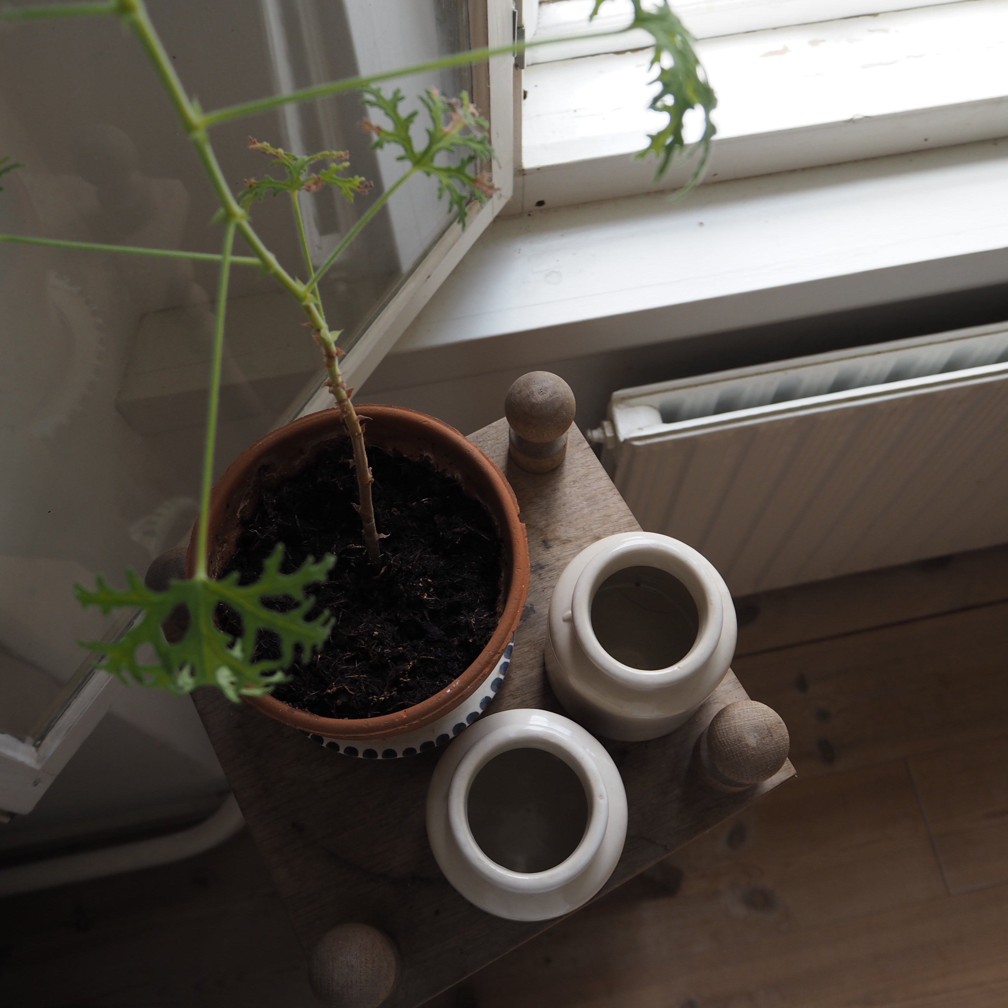Mini krukker