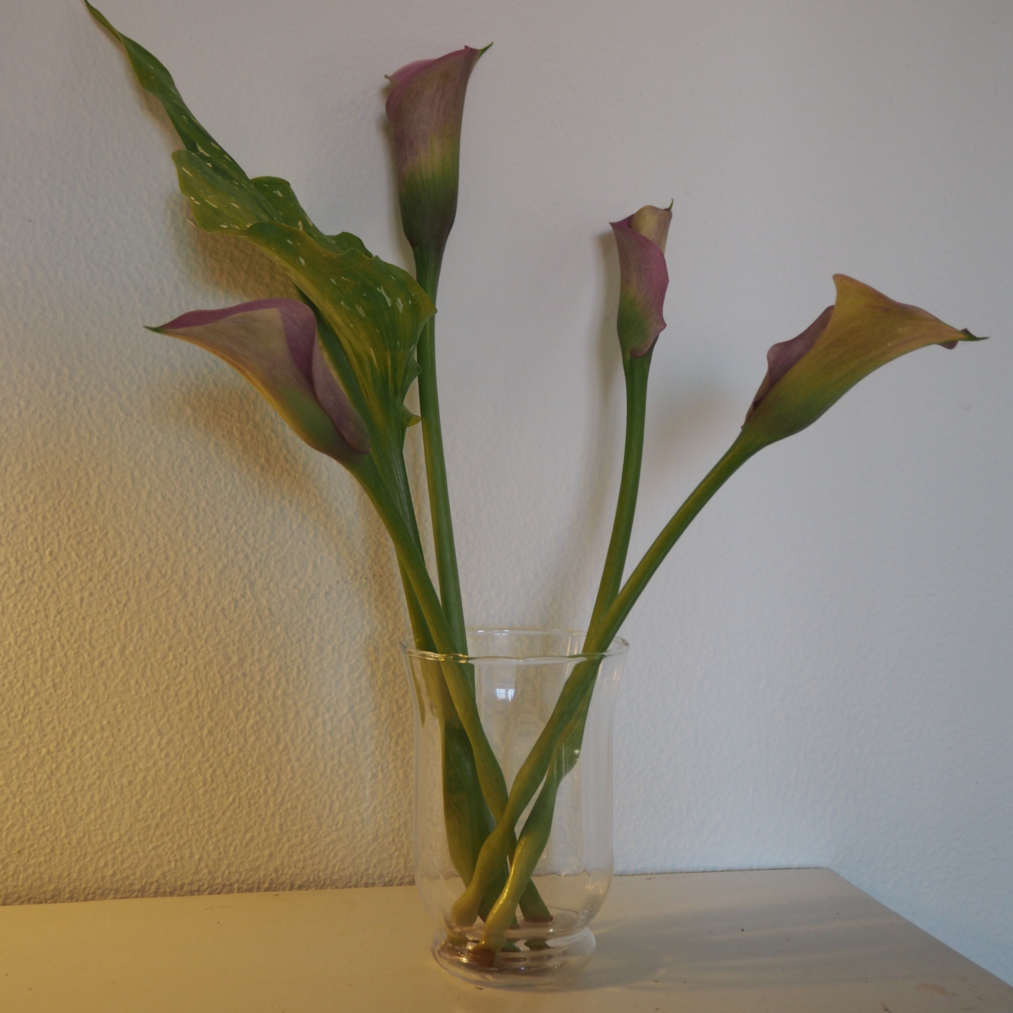 Vase m. bred munding og rillet kant