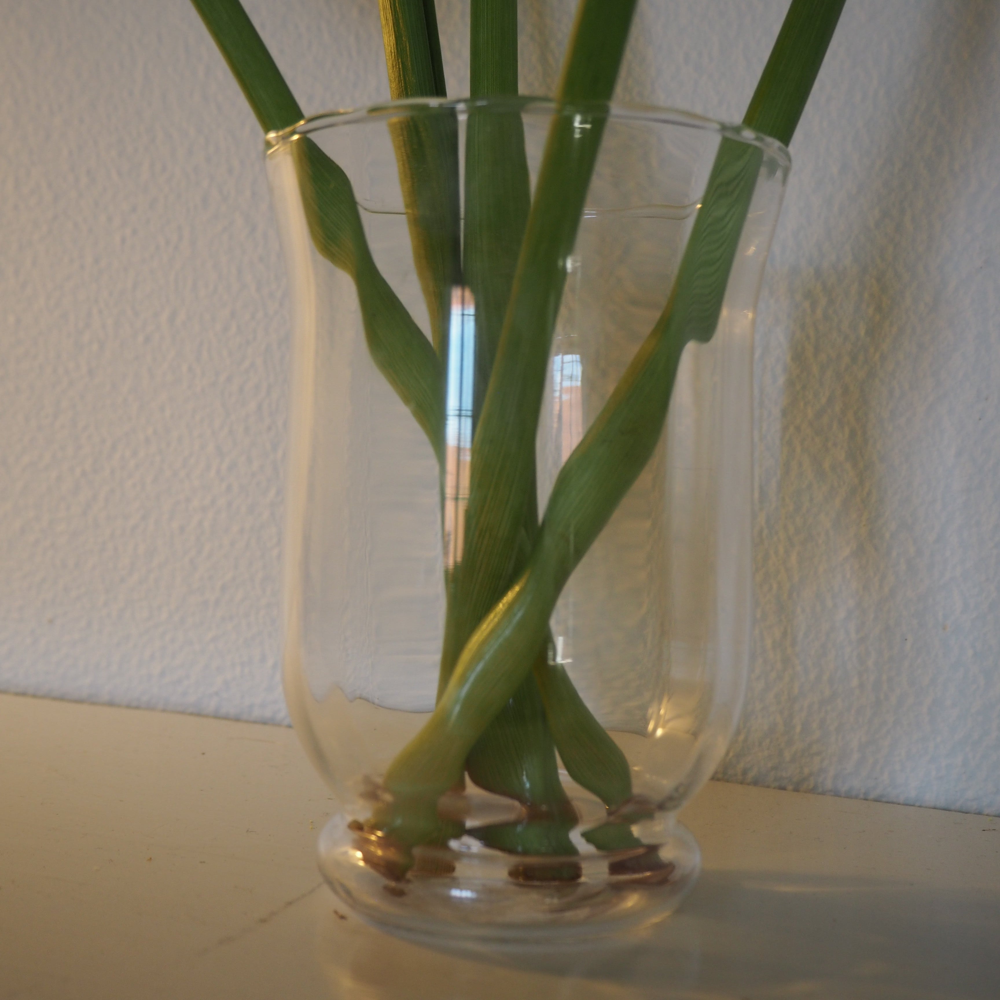 Vase m. bred munding og rillet kant